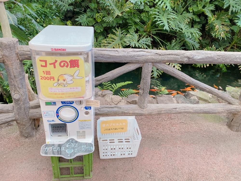 セイウチタッチのイベント