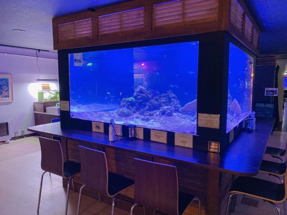 UOASISのテーブル水槽