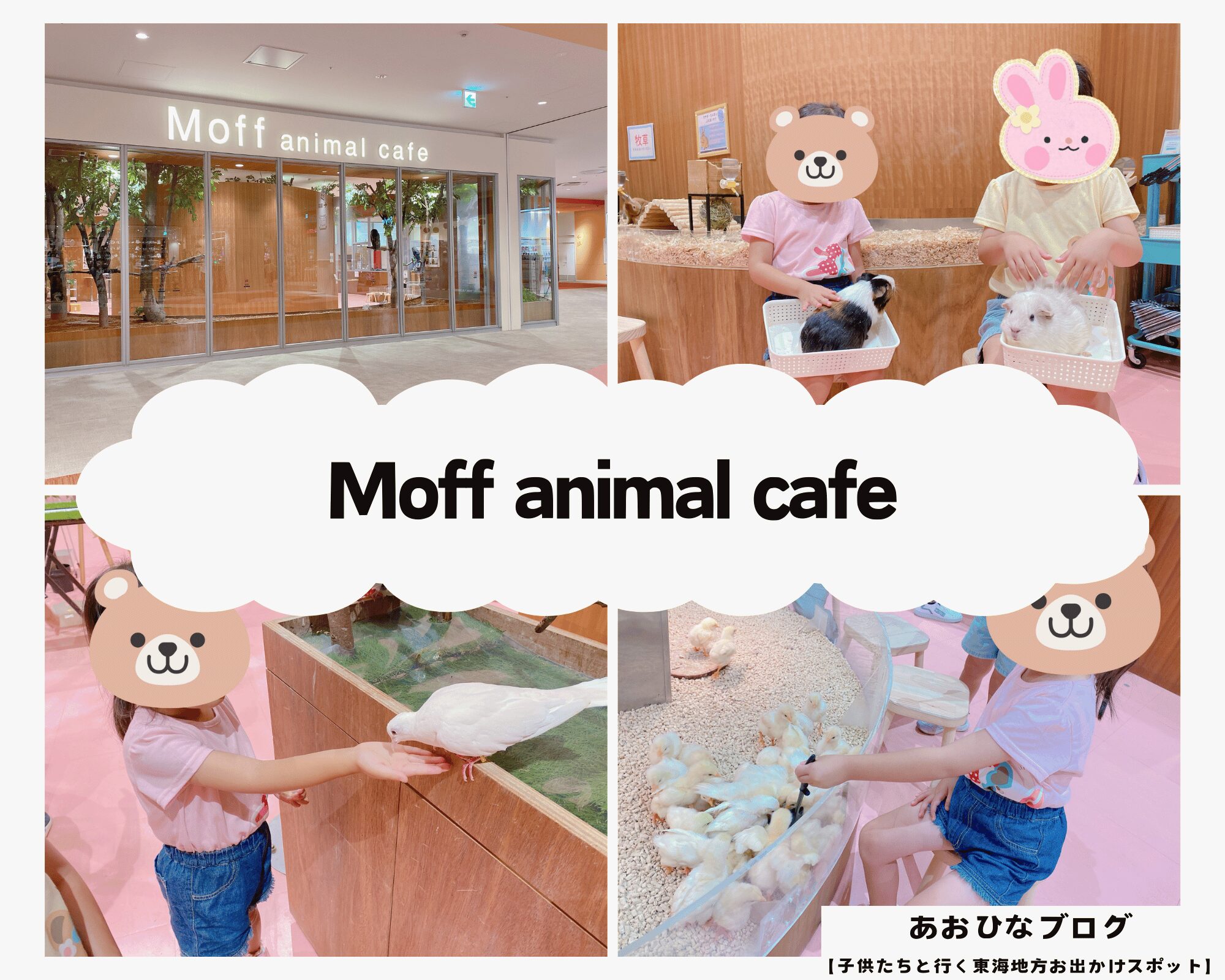 【愛知】ららぽーと愛知東郷『Moff animal cafe』小動物が大好きな子供たちと行くふれあいスポット