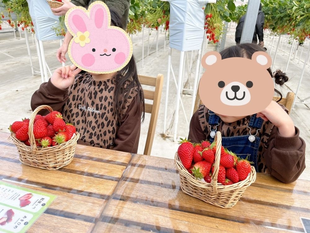 いちごを摘む子供たち