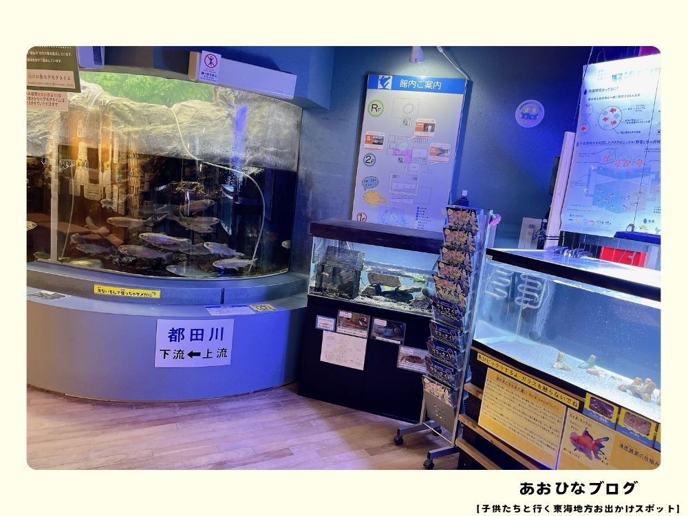 ウォットの渓流水槽と川の魚