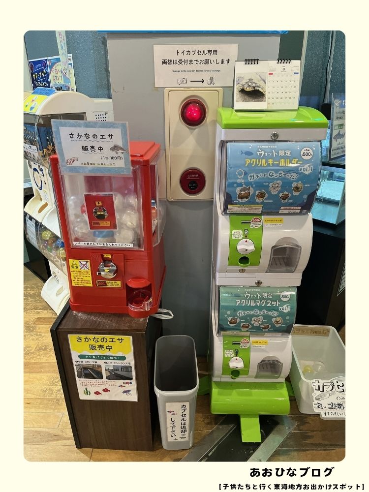 ウォット屋外のコイのエサやり体験