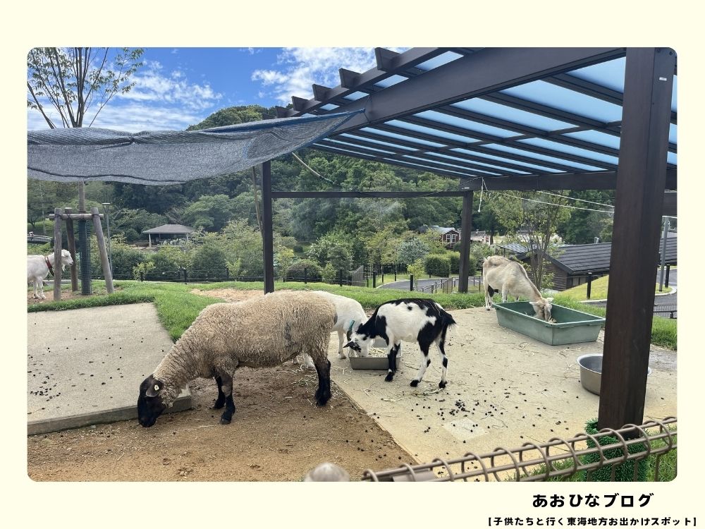 ふれあい広場