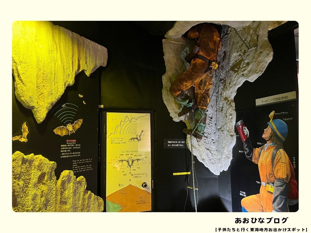 竜ヶ岩洞の鍾乳洞発掘の紹介展示